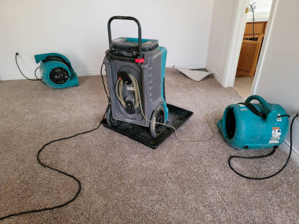 Best Flood restoration services  in Freeport, NY