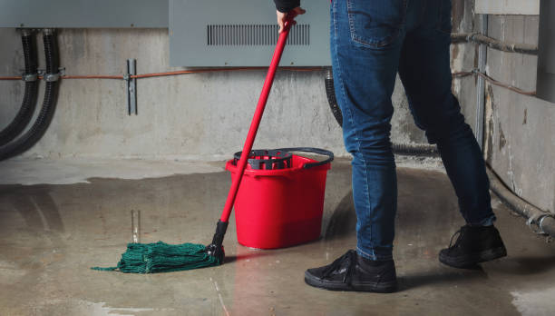 Best Water damage restoration near me  in Freeport, NY