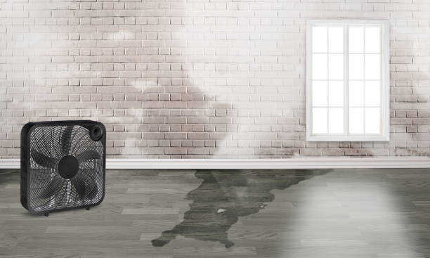 Best Sewage cleanup and water damage restoration  in Freeport, NY