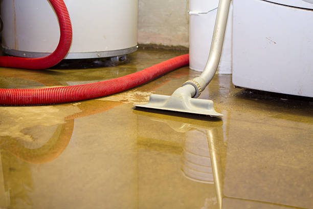Best Ceiling water damage repair  in Freeport, NY