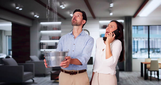 Best 24-hour water damage restoration  in Freeport, NY
