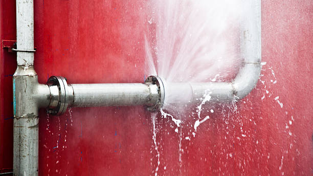 Best Basement water damage restoration  in Freeport, NY